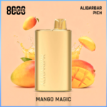 Alibarbar Rich Mango Magic 8000 Puffs