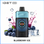 IGET One Blueberry Ice 12000 puffs