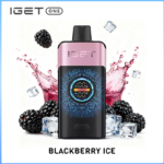 IGET One Blackberry Ice 12000 Puffs